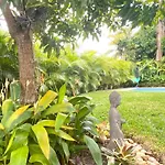 Experience Miami Magic: Tropical Pool Escape