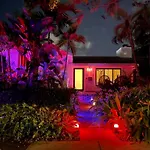 Experience Miami Magic: Tropical Pool Escape