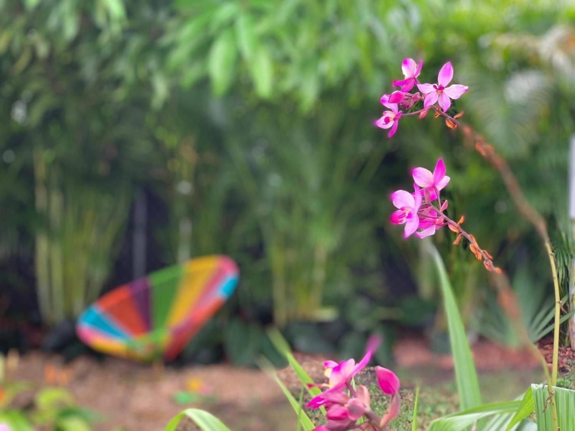 Holiday home Experience Magic: Tropical Pool Escape *