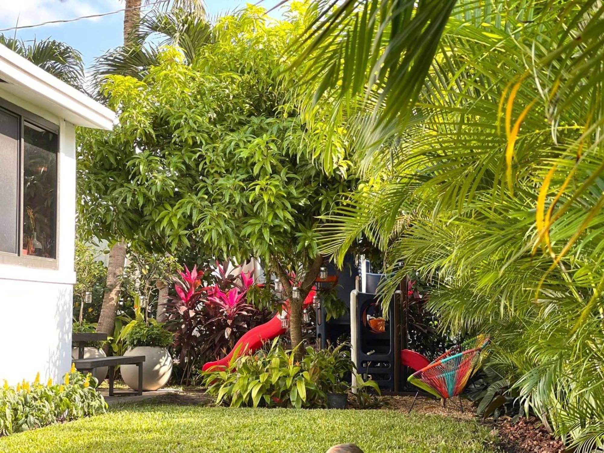 Experience Magic: Tropical Pool Escape