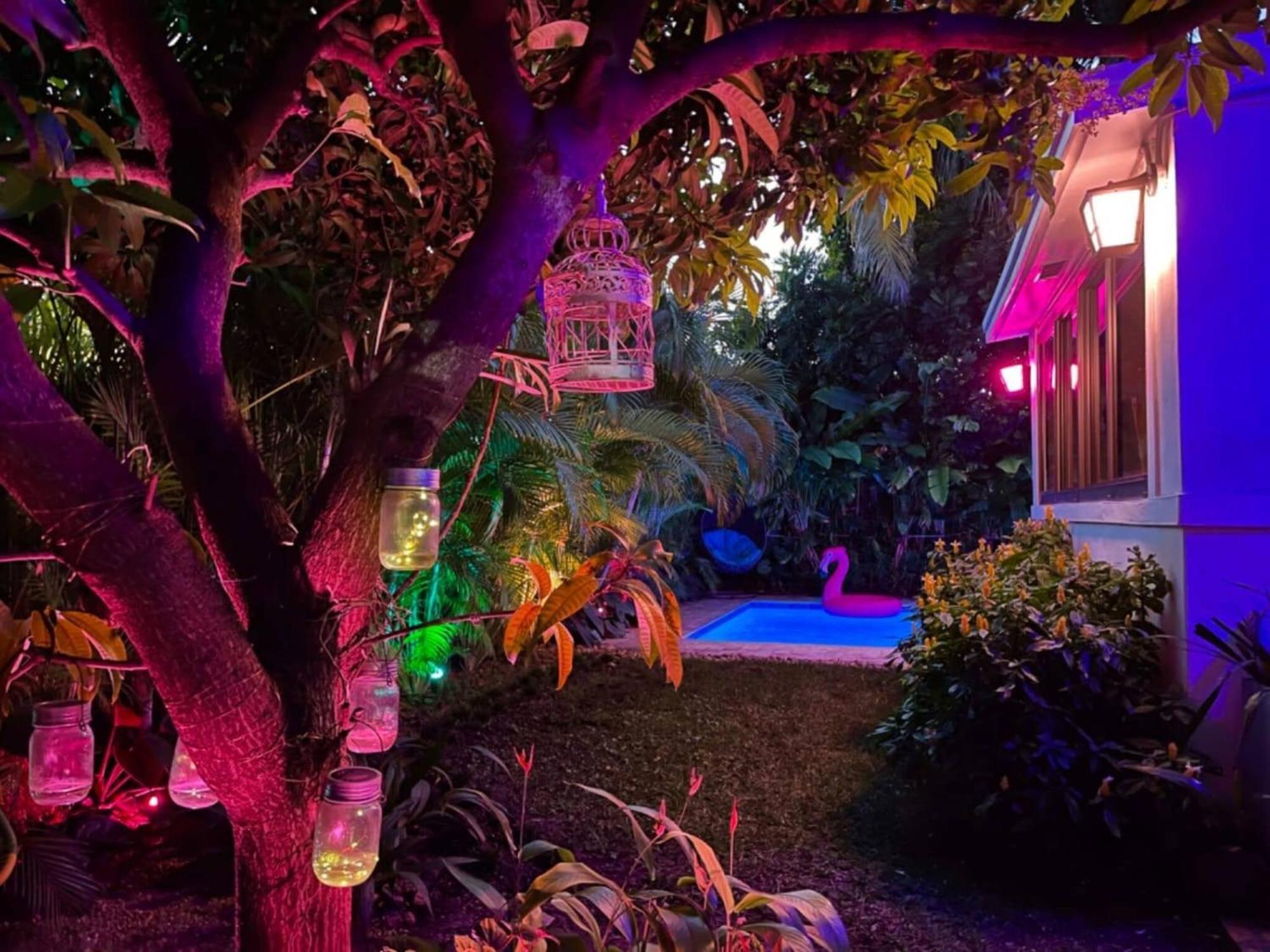 Experience Magic: Tropical Pool Escape Holiday home Miami