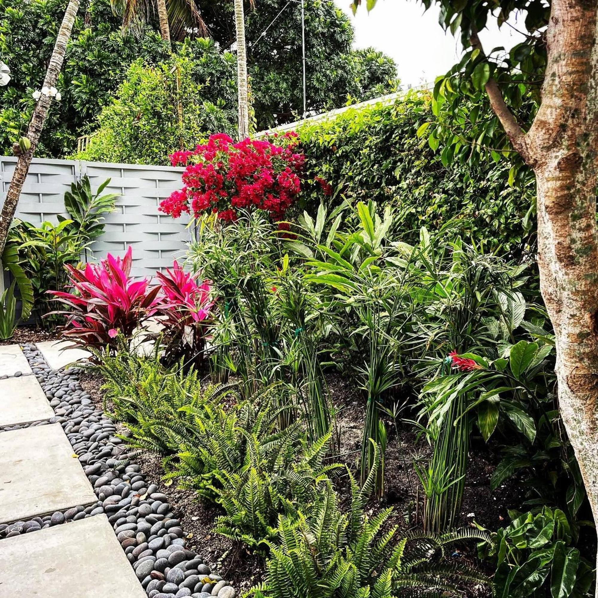 Experience Magic: Tropical Pool Escape Holiday home Miami