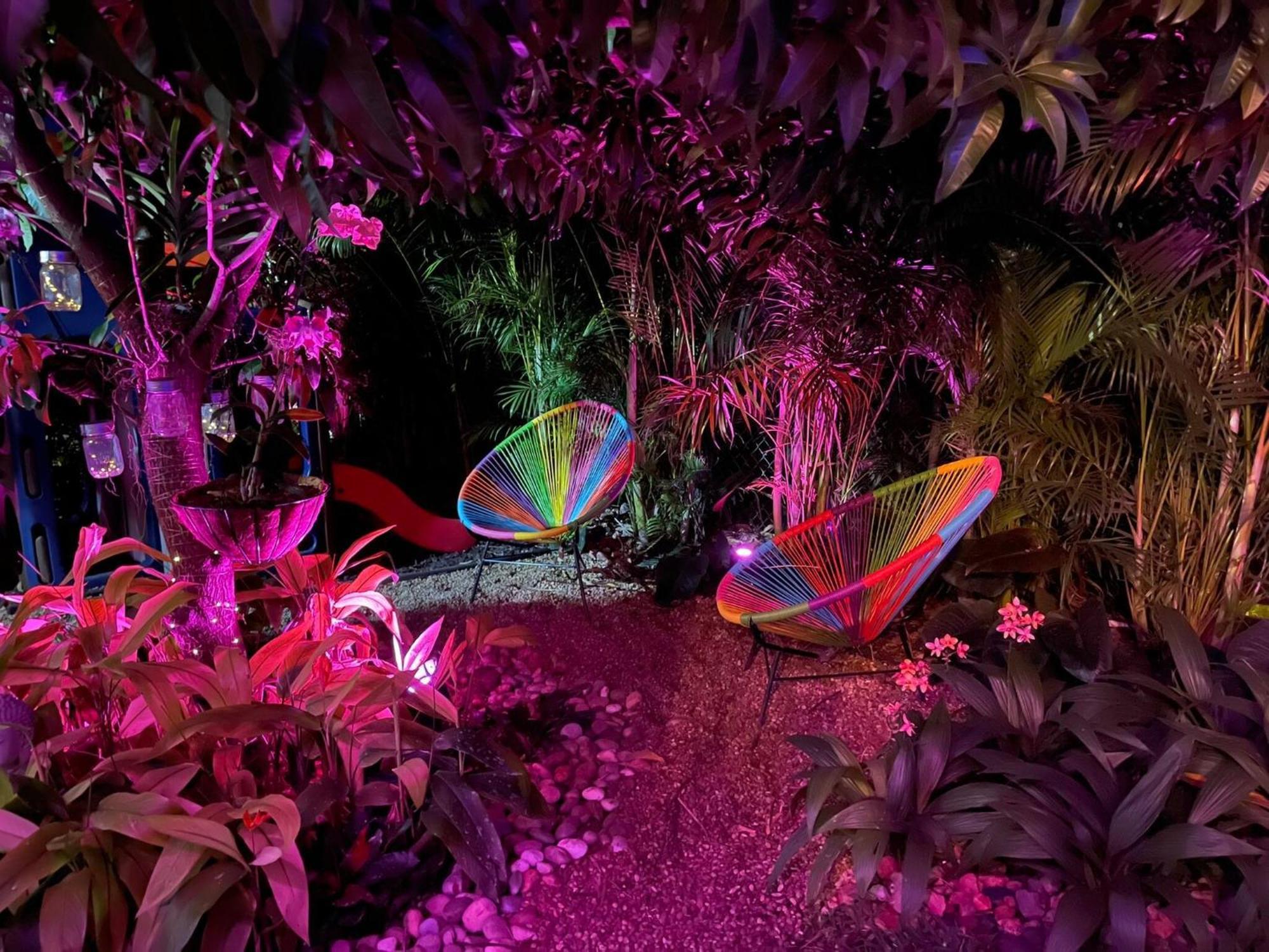 Experience Magic: Tropical Pool Escape *