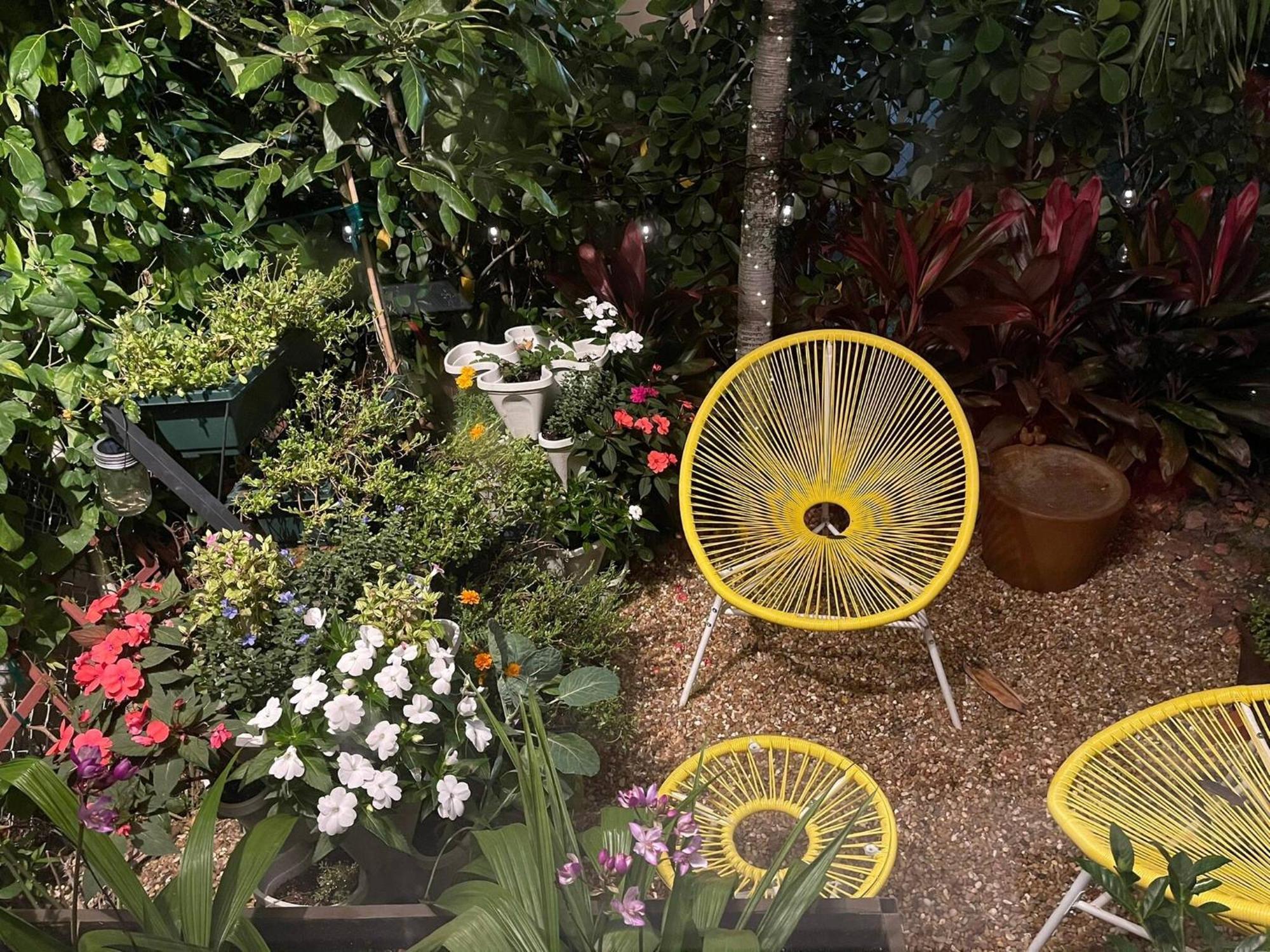 Experience Magic: Tropical Pool Escape Holiday home *