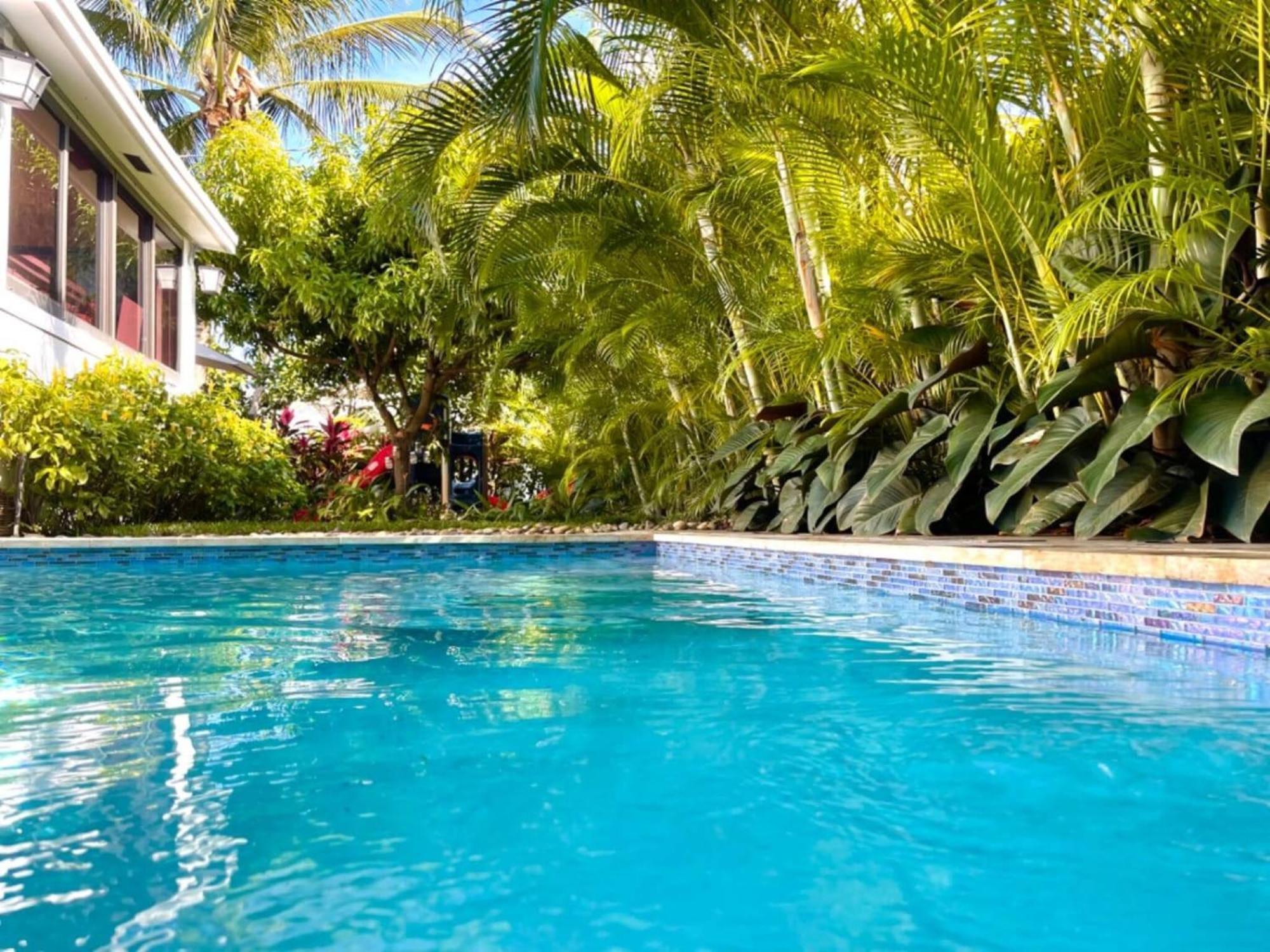 Experience Magic: Tropical Pool Escape * Miami