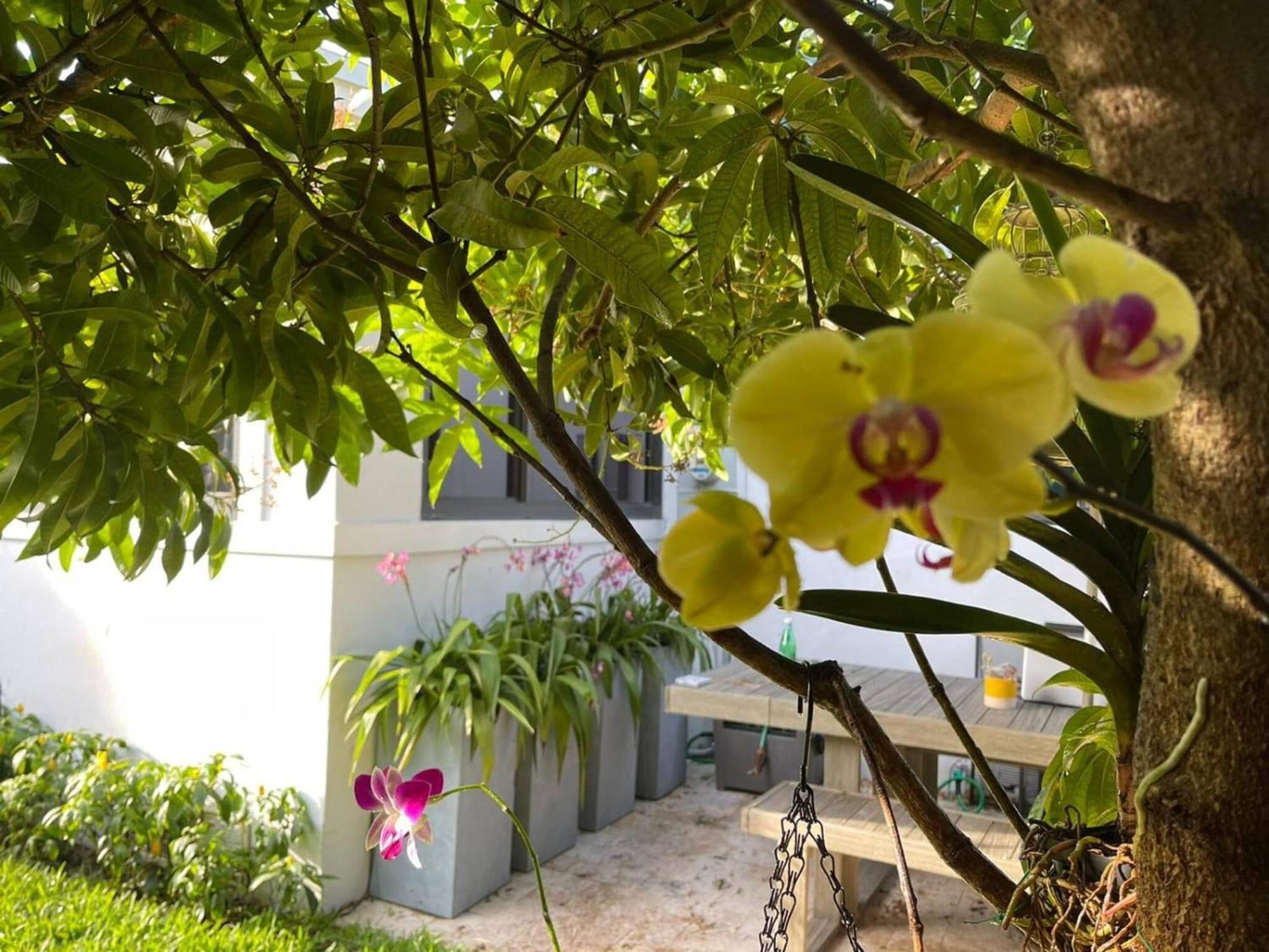 Holiday home Experience Magic: Tropical Pool Escape