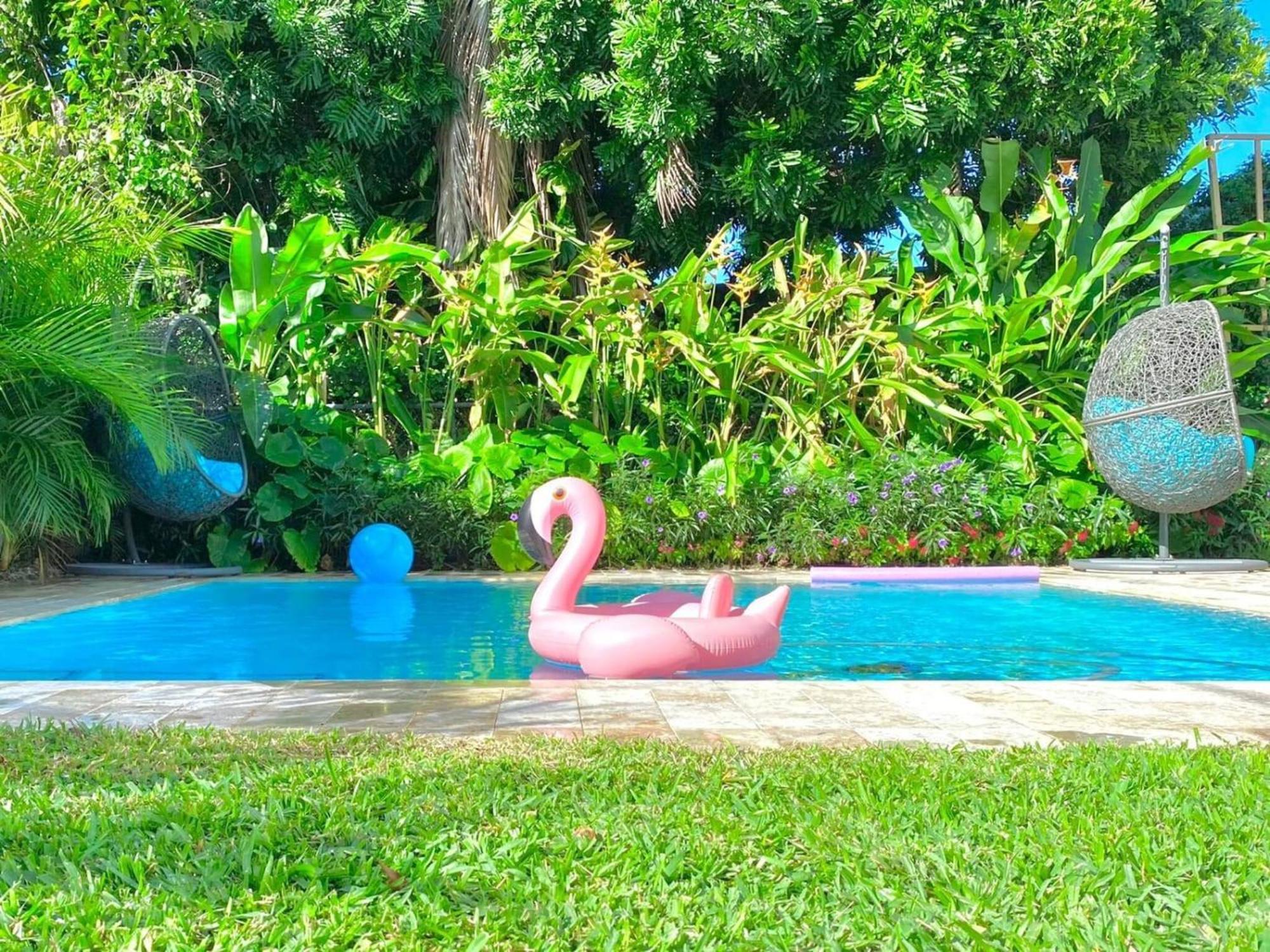 Experience Magic: Tropical Pool Escape Miami